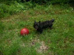 charly_1_20211201_1051892584
